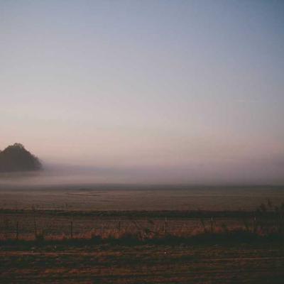 新型独特智能系统